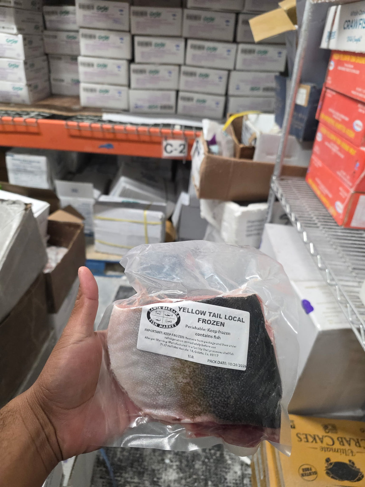 California Yellowtail