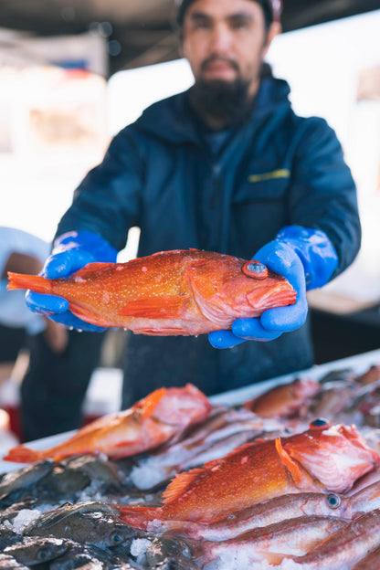 Pacific Rockfish Fillet